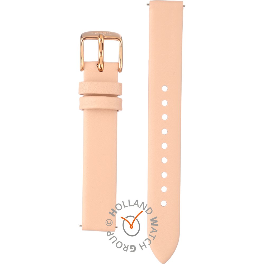 Fossil Straps ABQ3339 BQ3339 Laney Horlogeband