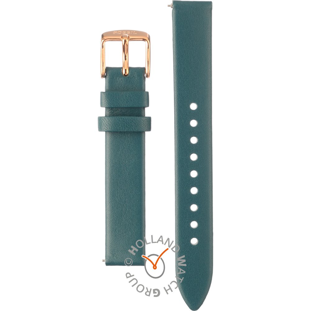 Fossil Straps ABQ3400 BQ3400 Laney Horlogeband