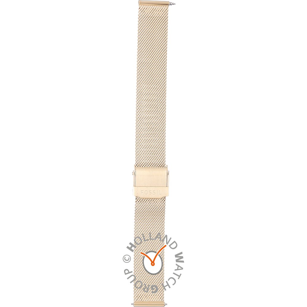 Fossil Straps ALE1093 LE1093 Prismatic Mystic Horlogeband